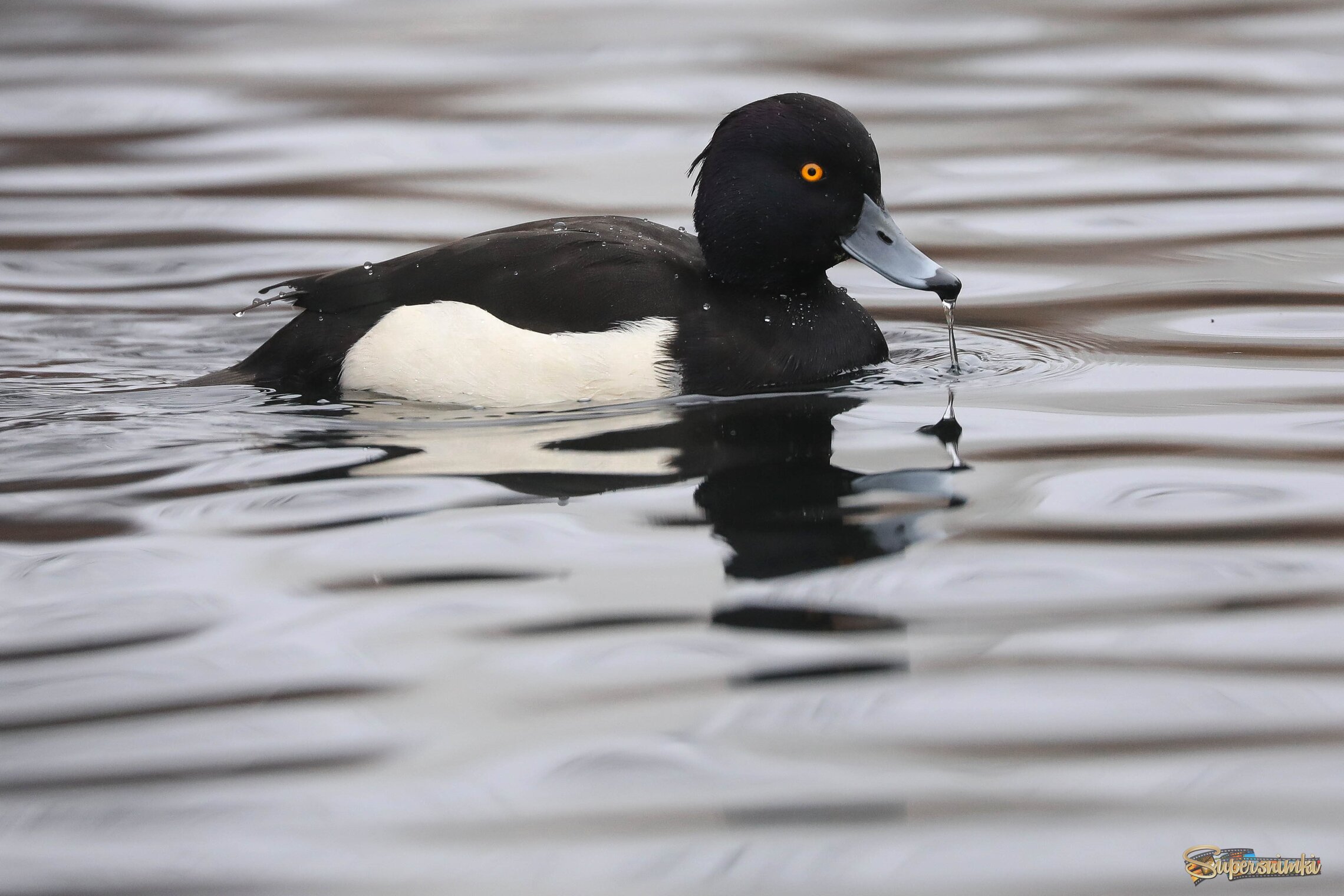 Густая вода
