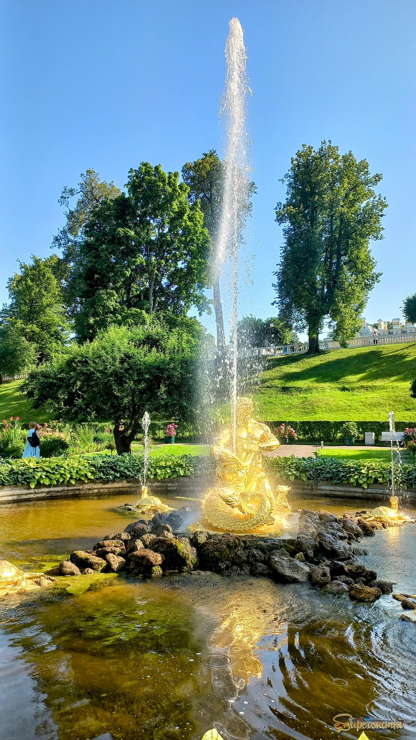 6947ced7fc92319855011ca8