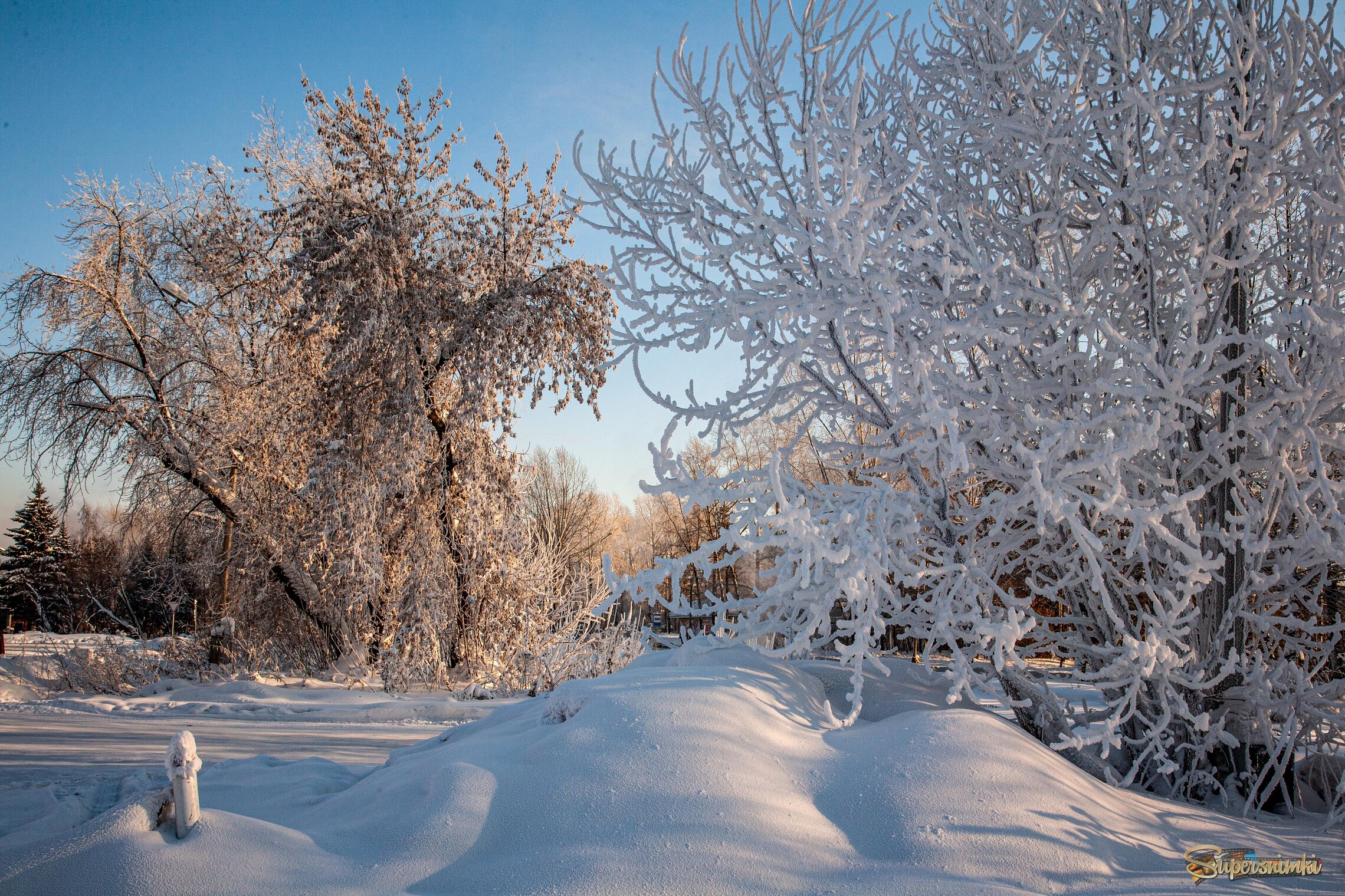 Морозный день