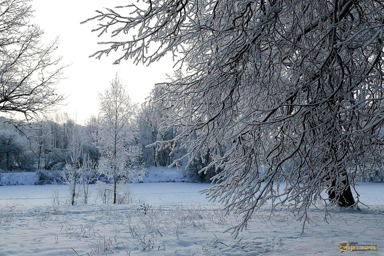 Однажды, иней!