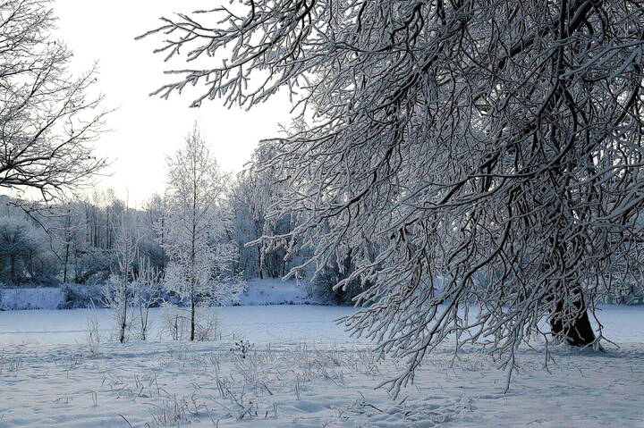 Однажды, иней!