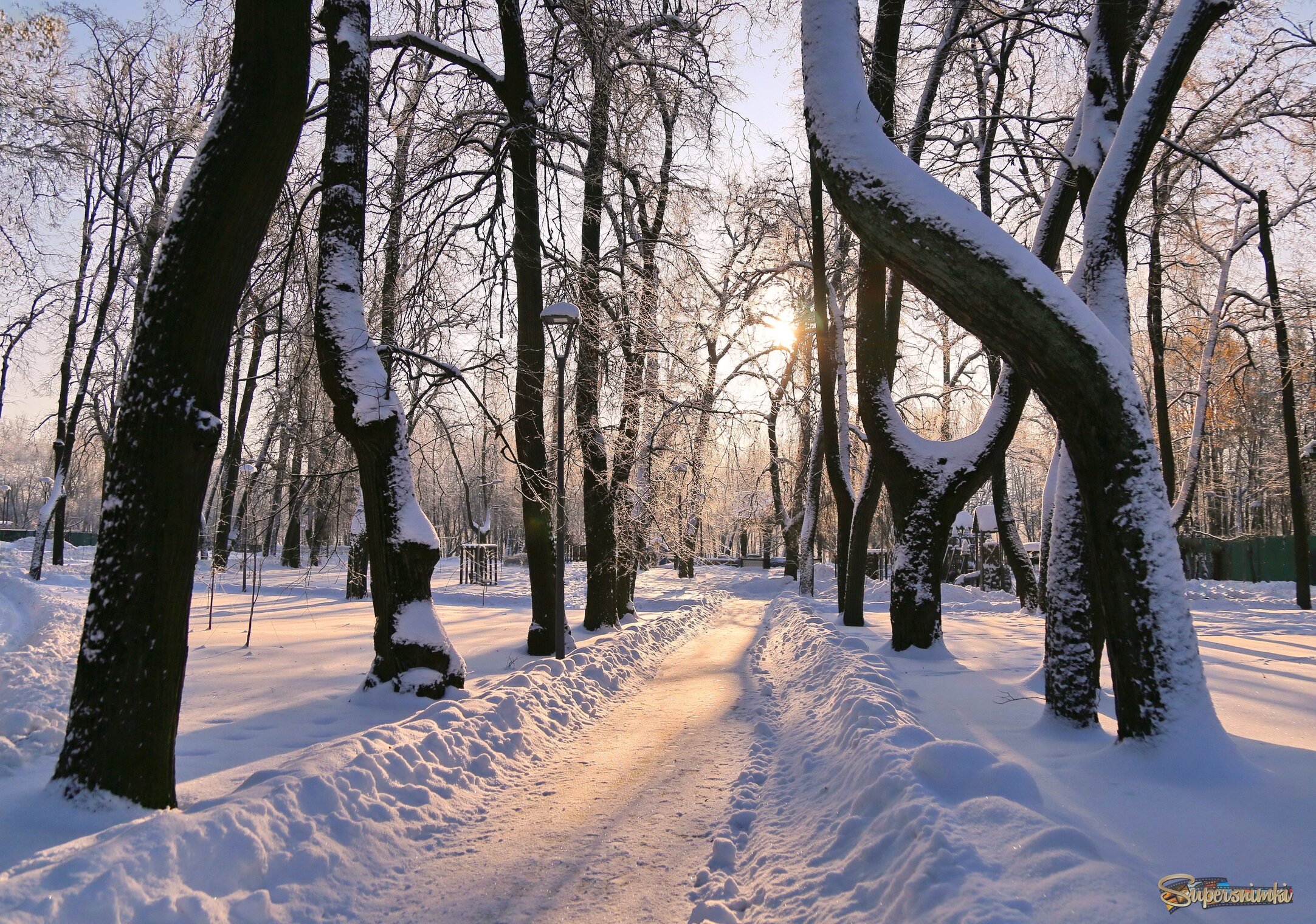 Декабрьское утро