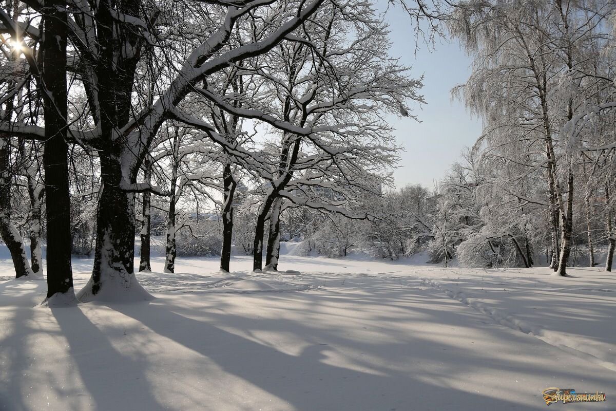 69493bd232d83ddfb6011ca8