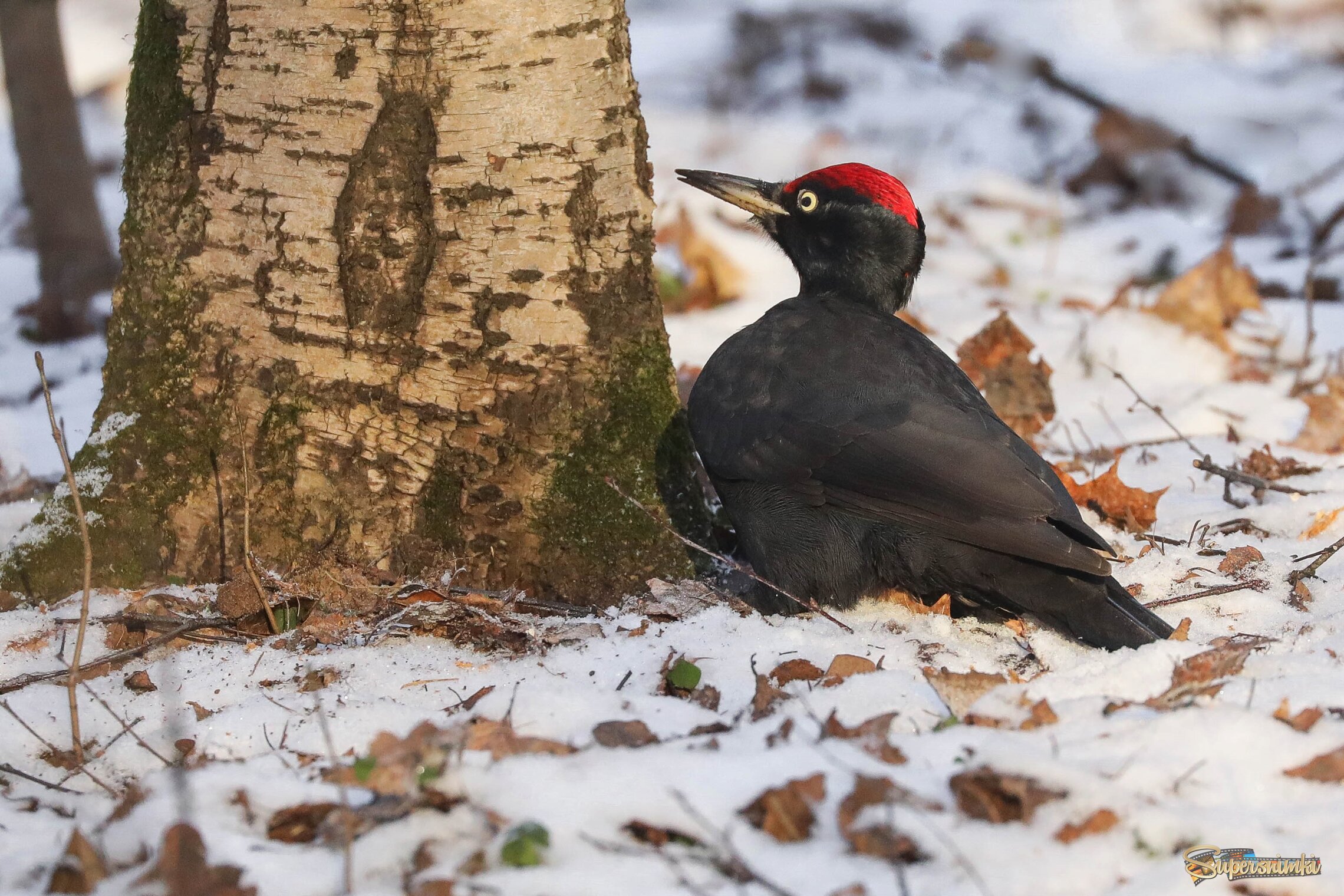 Приступим к делу!