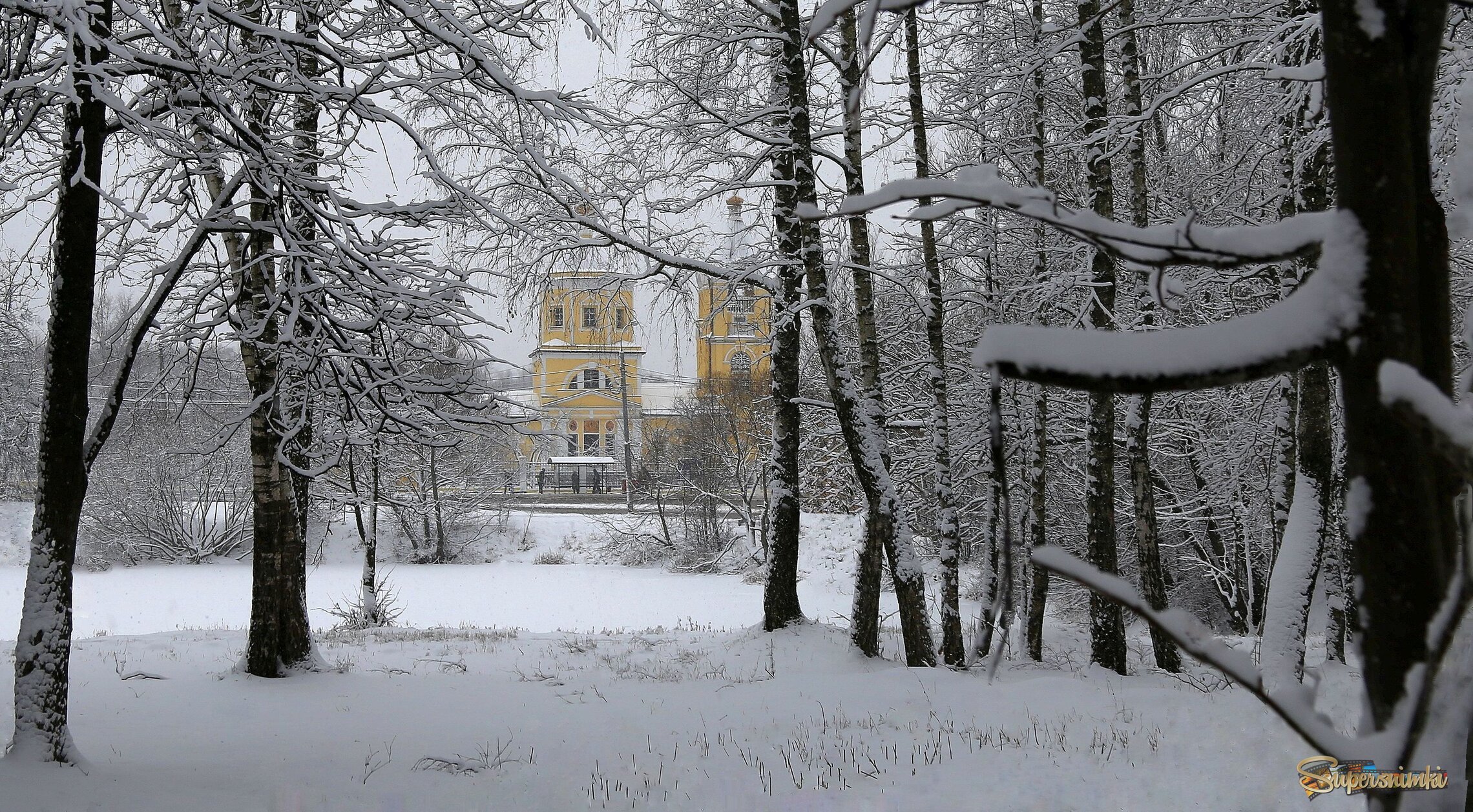 Разные зимы