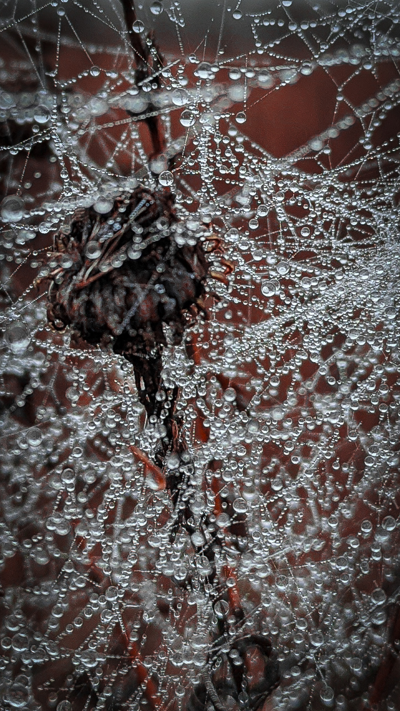 Макровселенная