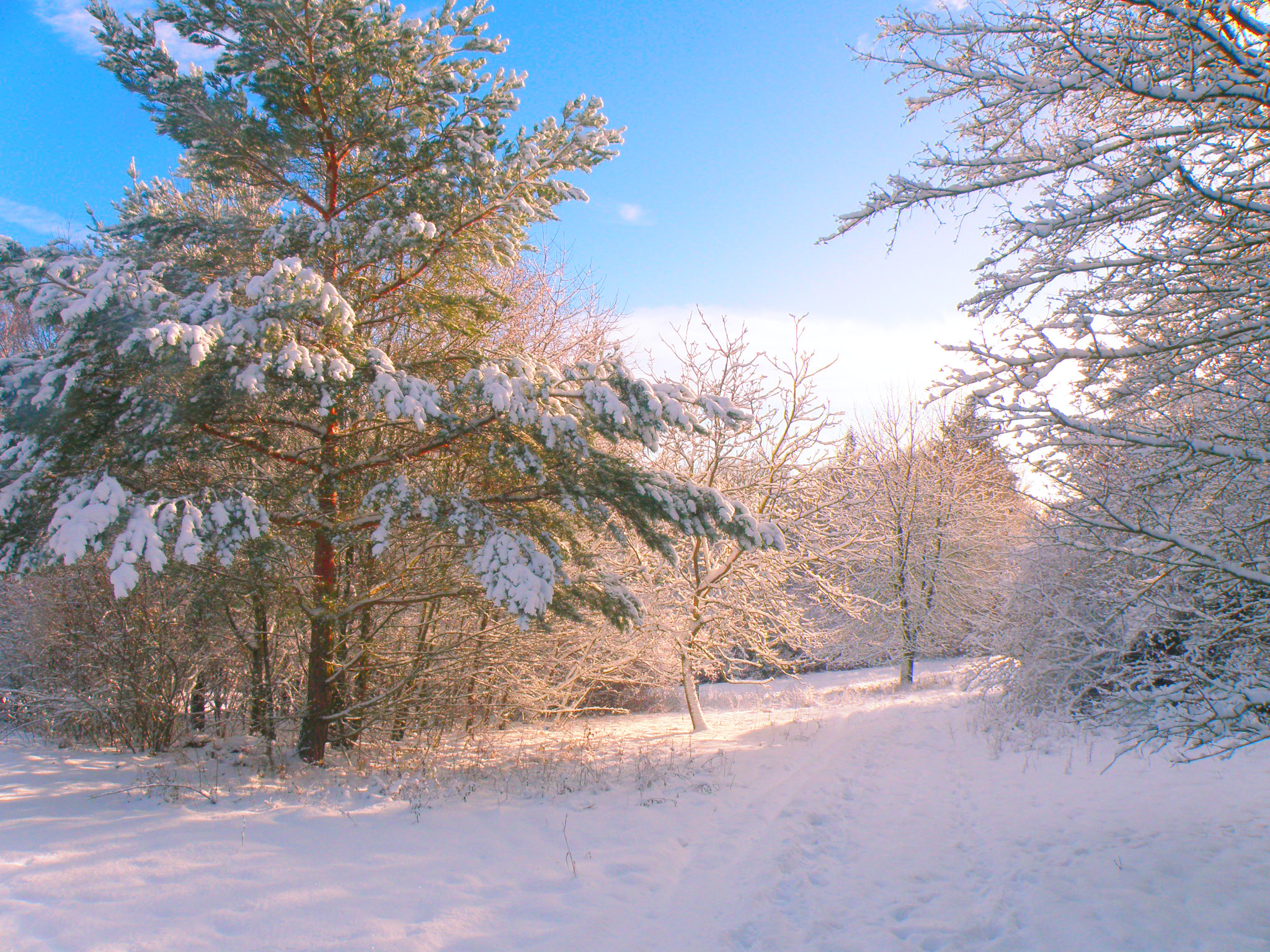 На рассвете.