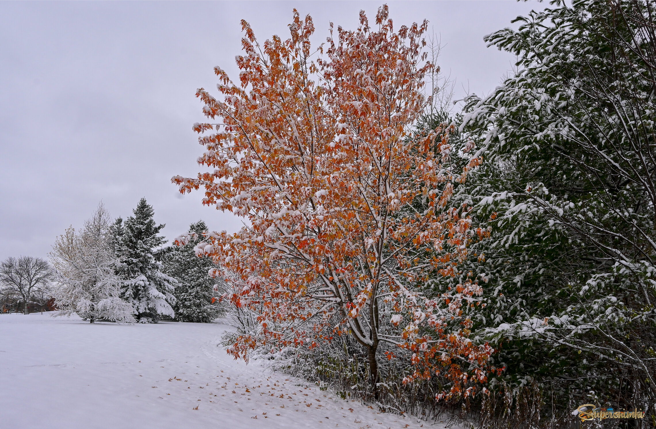 Сгнега первые объятья
