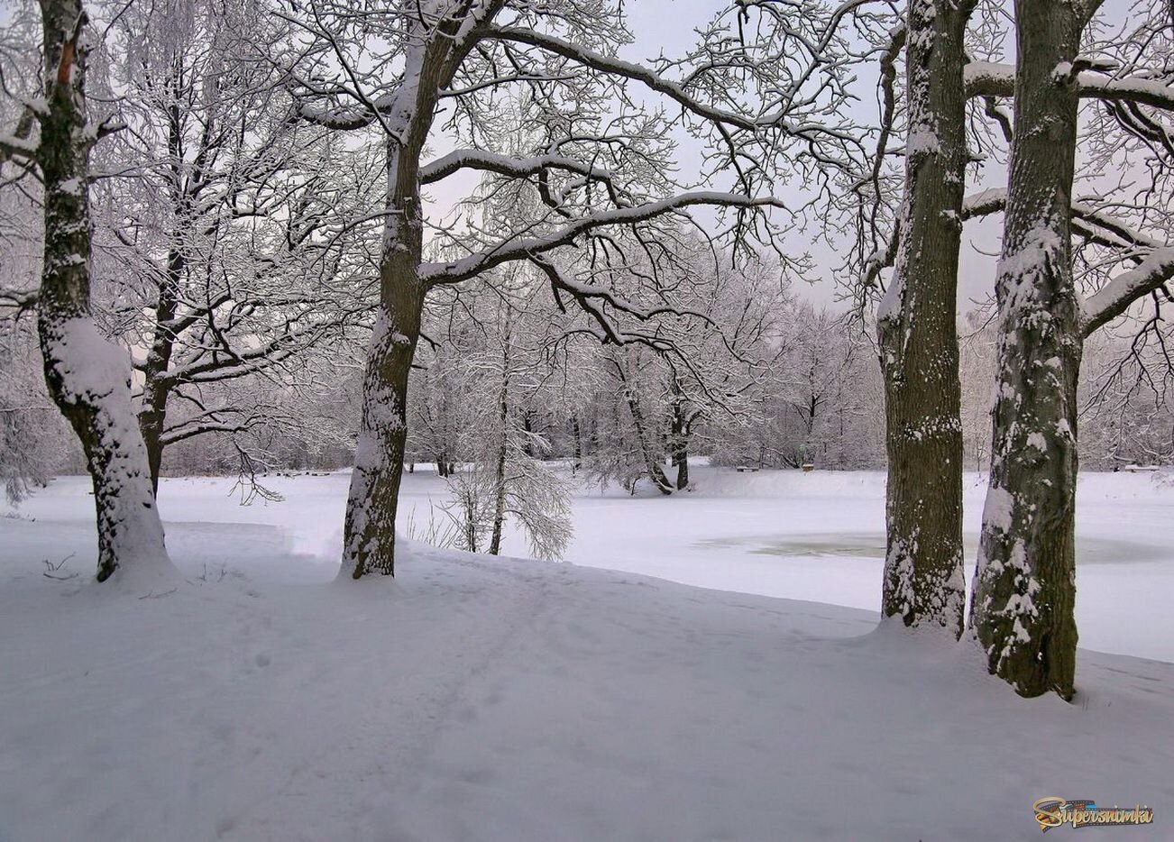 Скучаю по снегу...