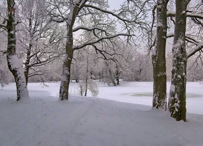 Скучаю по снегу...