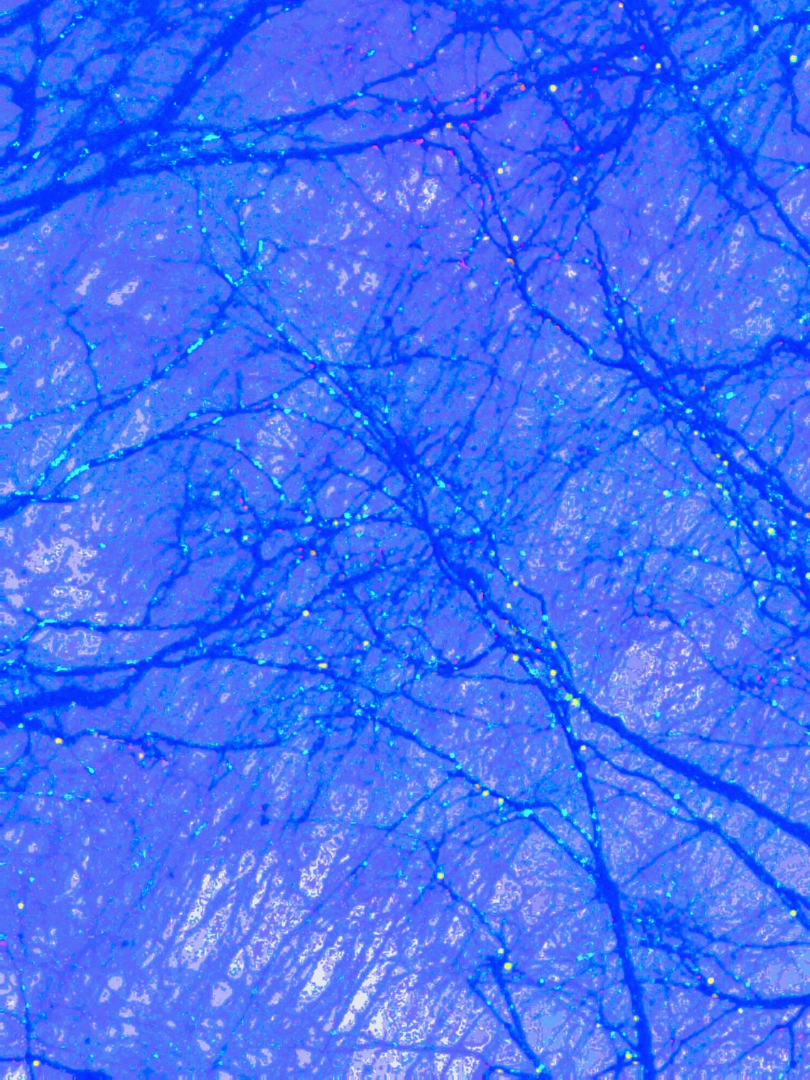 зима зимой карандашом