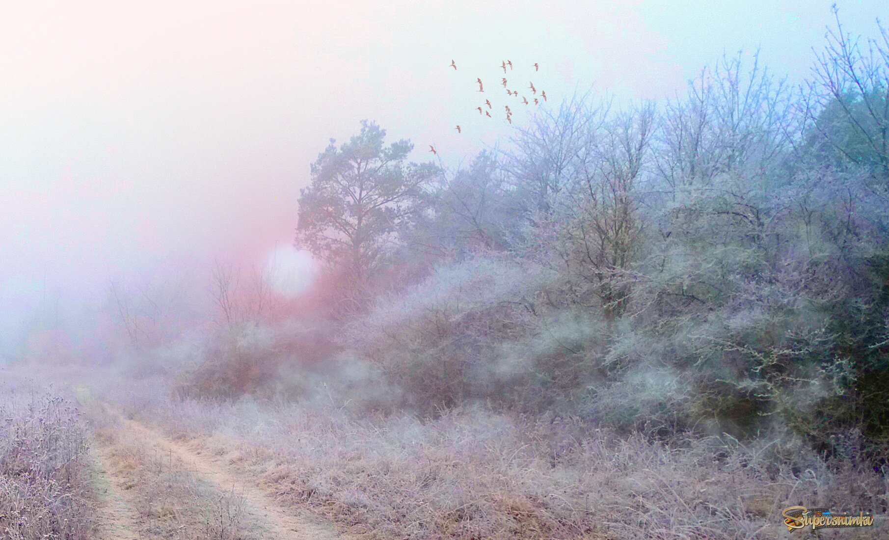 Холодный туман.