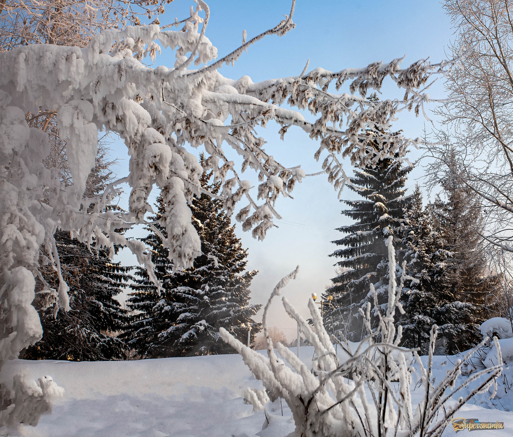 В праздничном наряде