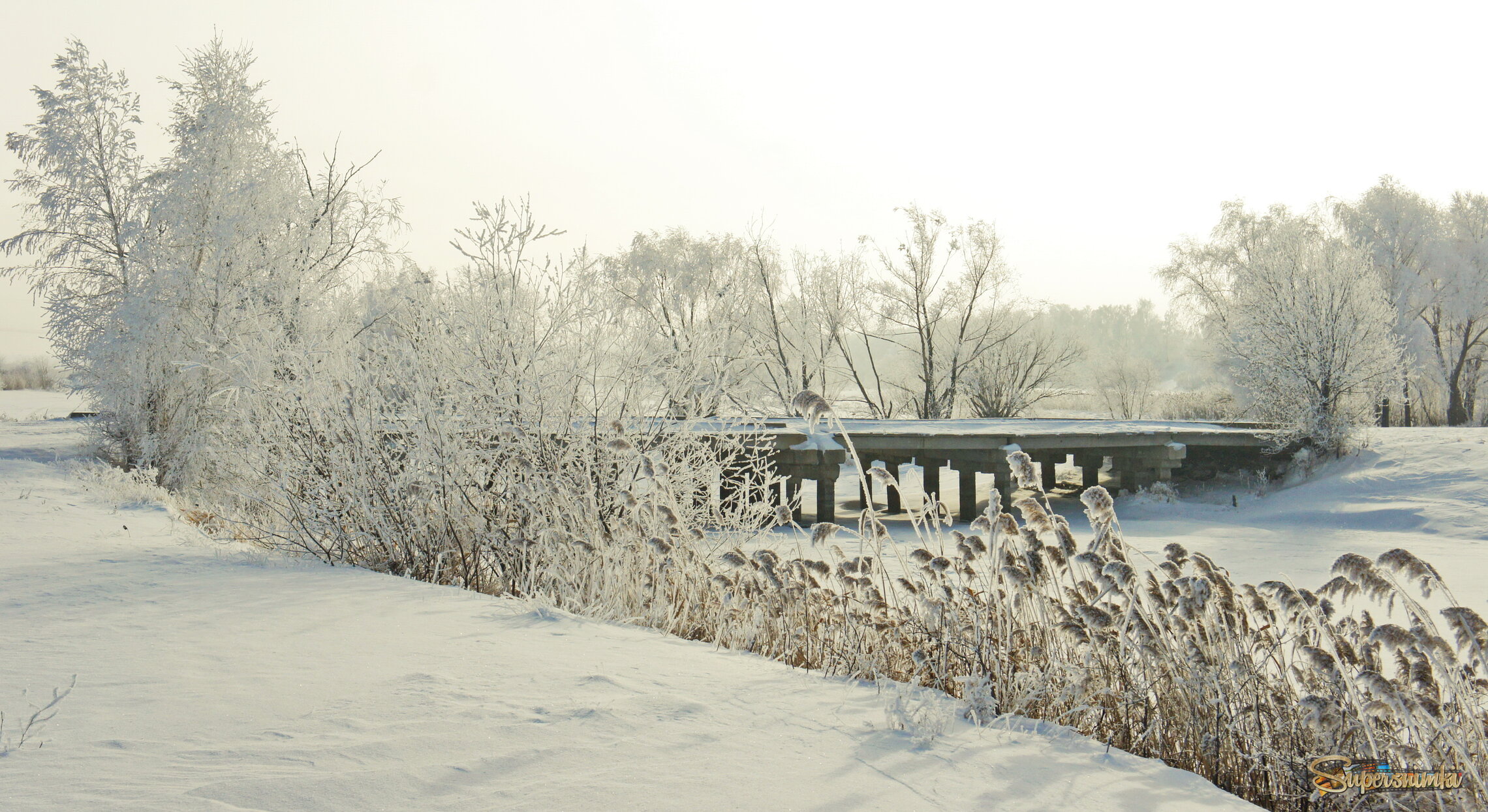 Зимы прекрасные моменты.
