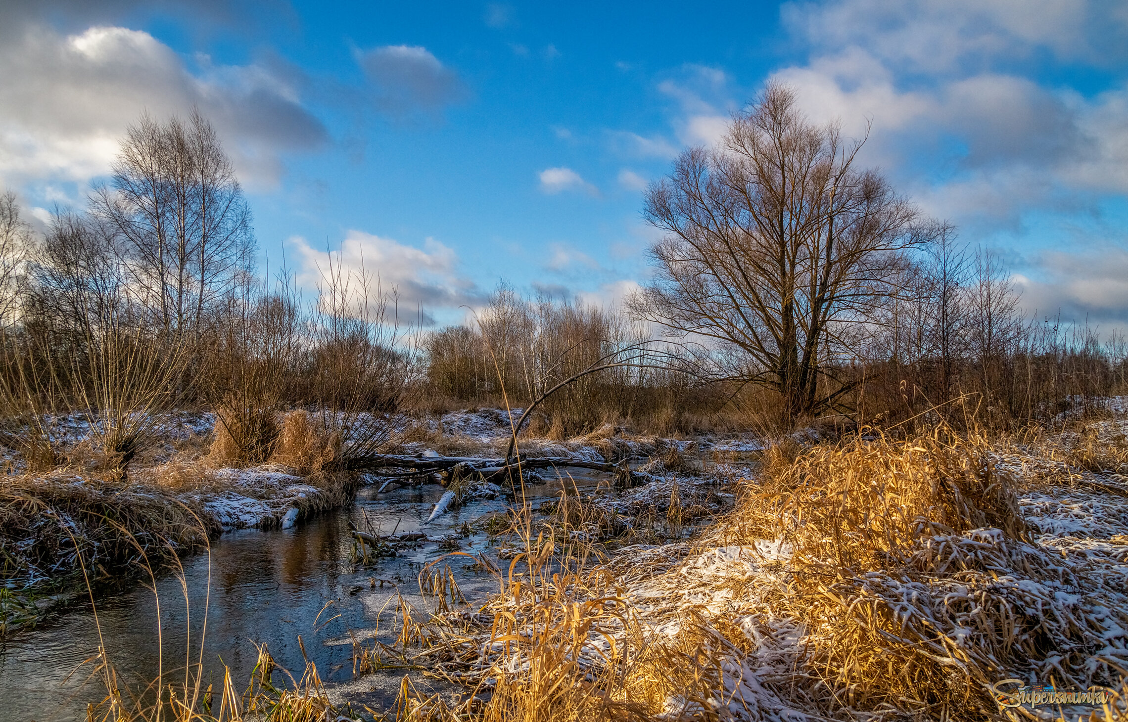 Подмосковный Декабрь 11 