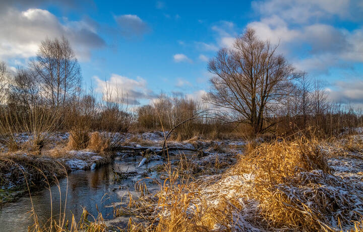 Подмосковный Декабрь 11 