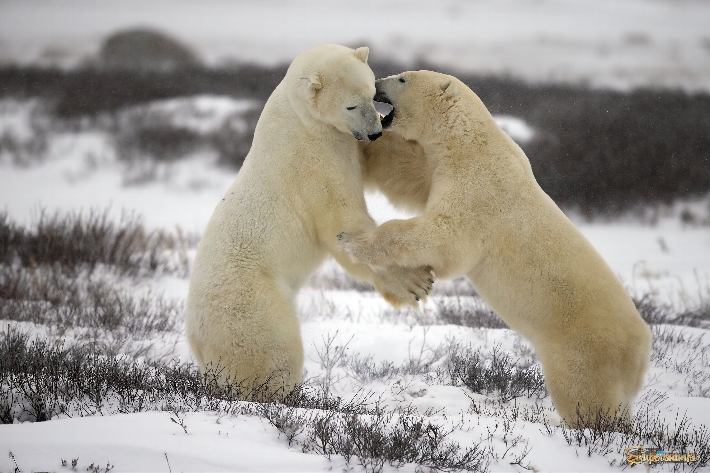 Тайное сообщение