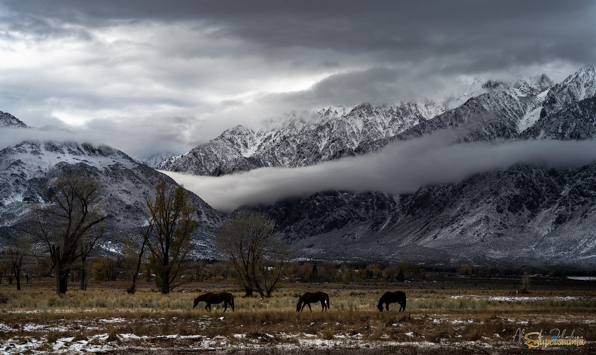 В предгорьях Сьерра Невады