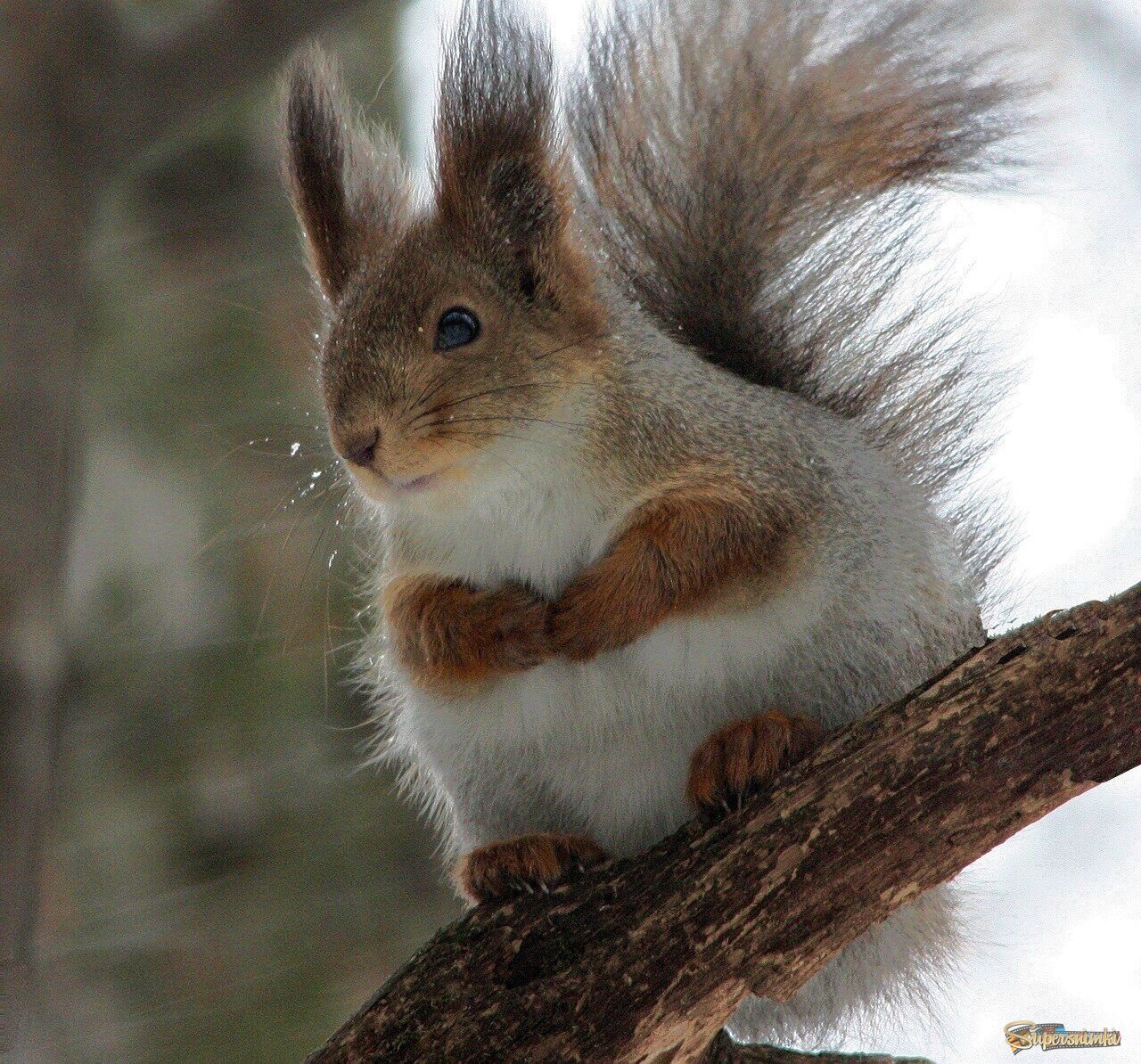 Гости пришли?