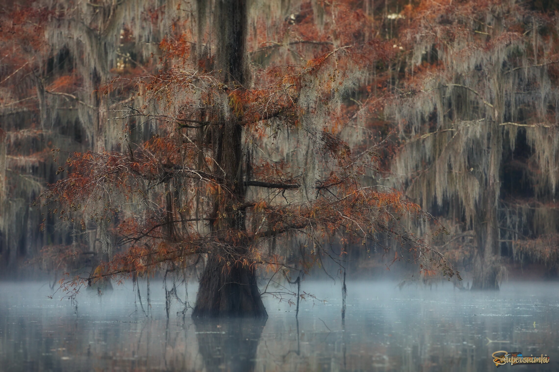 Мистический пейзаж