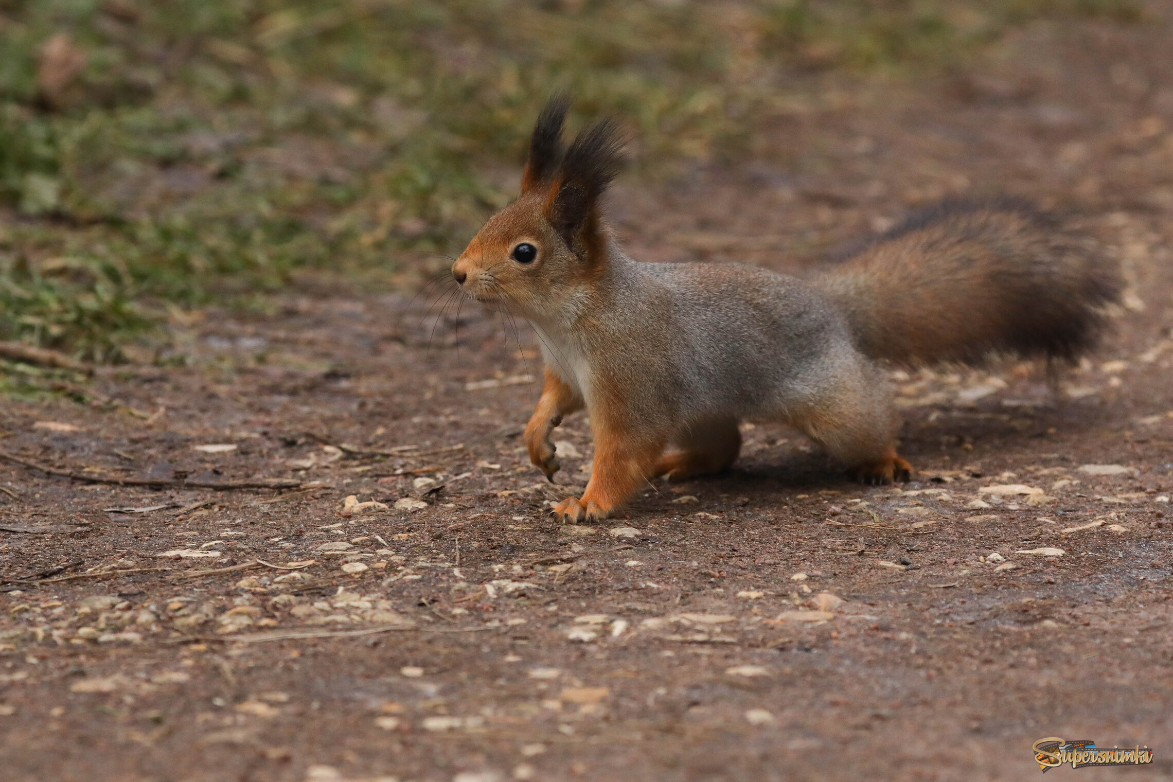 Миссия выполнима