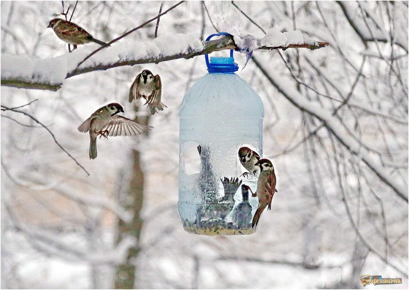 Холодно и голодно