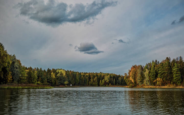 Берега, берега...