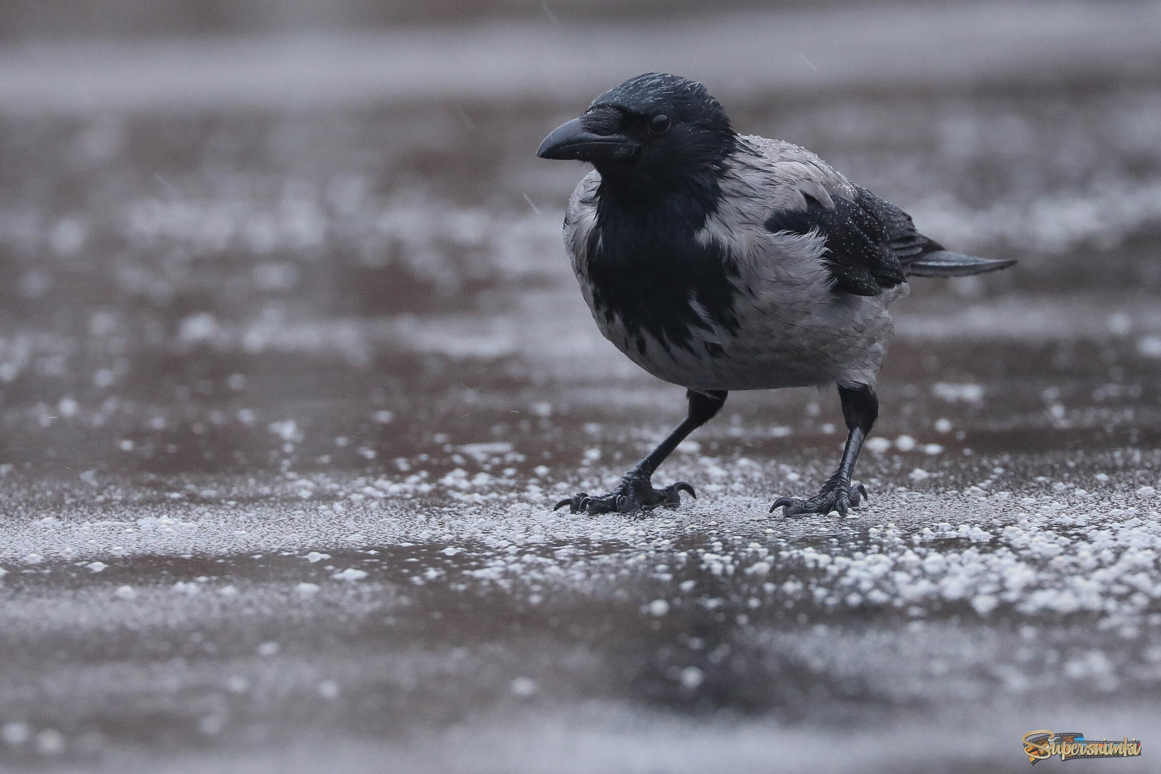 Что человек пошлёт, тем и сыт буду