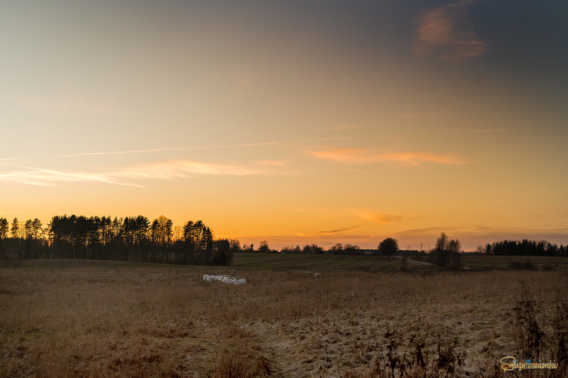 694ebf1a9a5fc5a54c011ca7