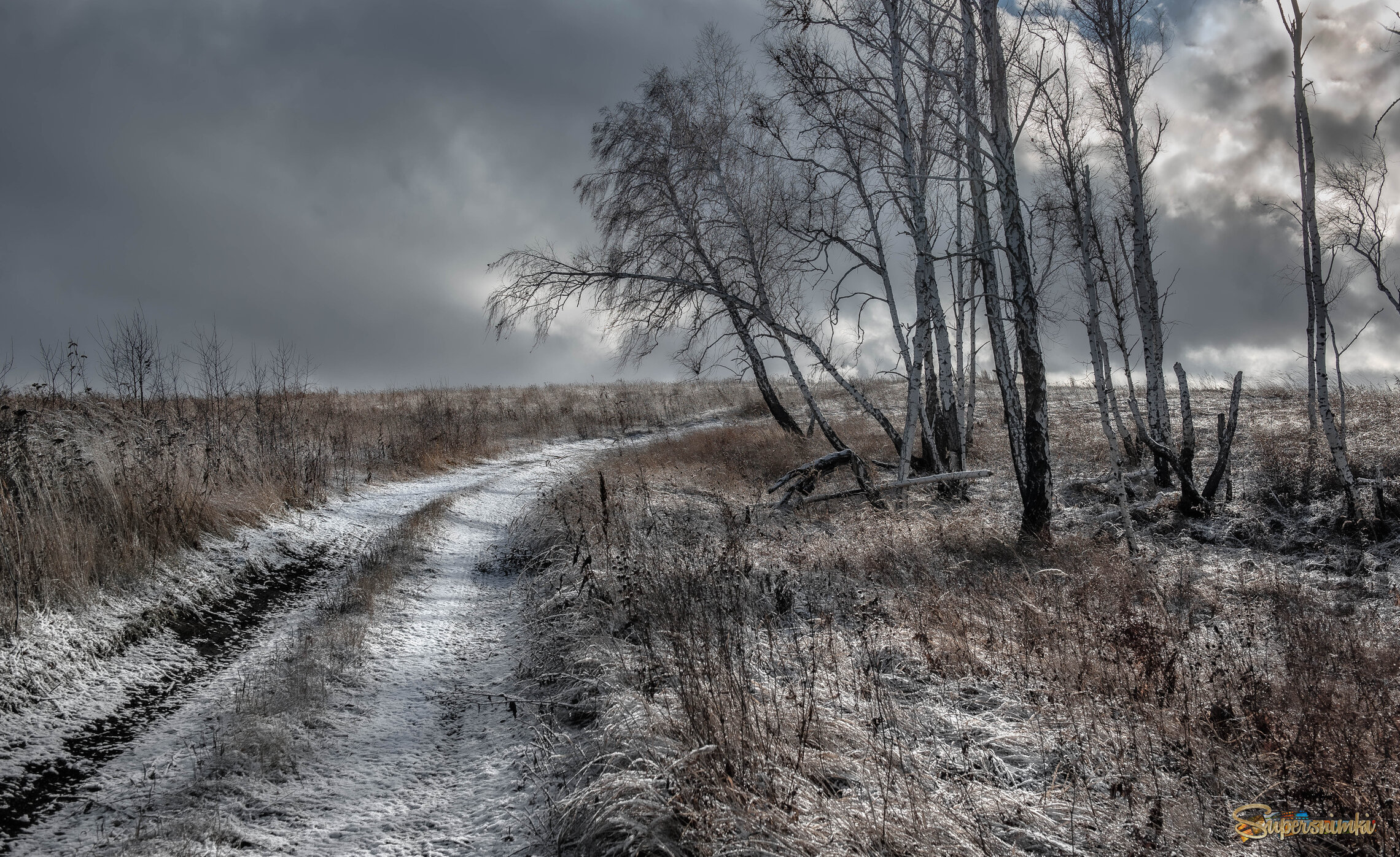 "Туча мглою небо кроет..."