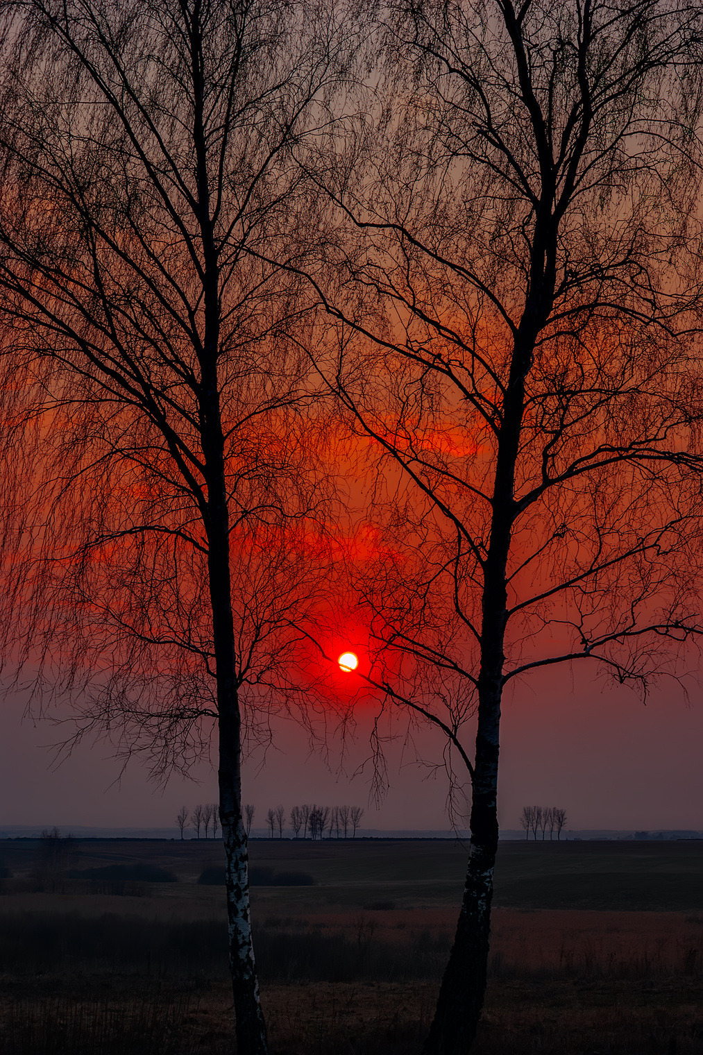 Графика уходящего дня