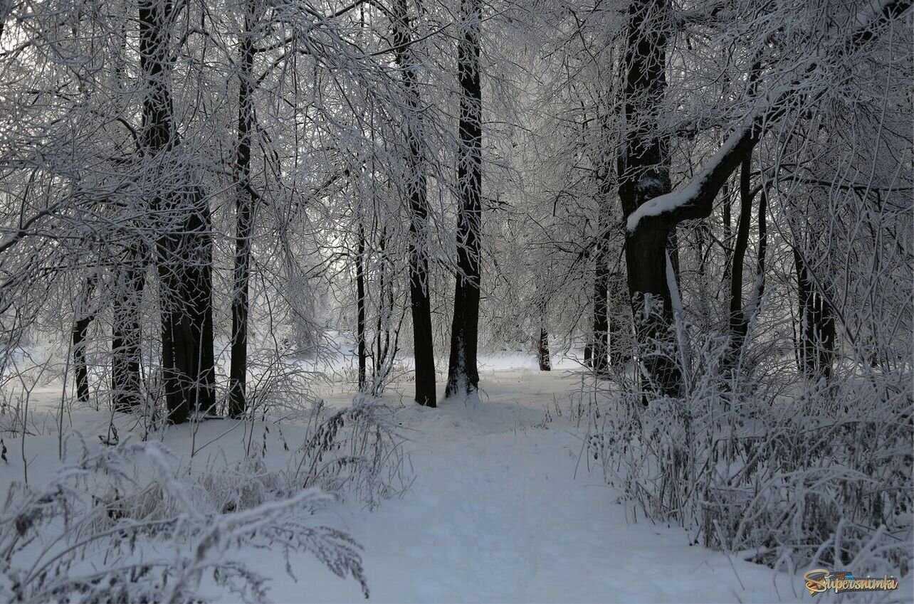 Зимний день