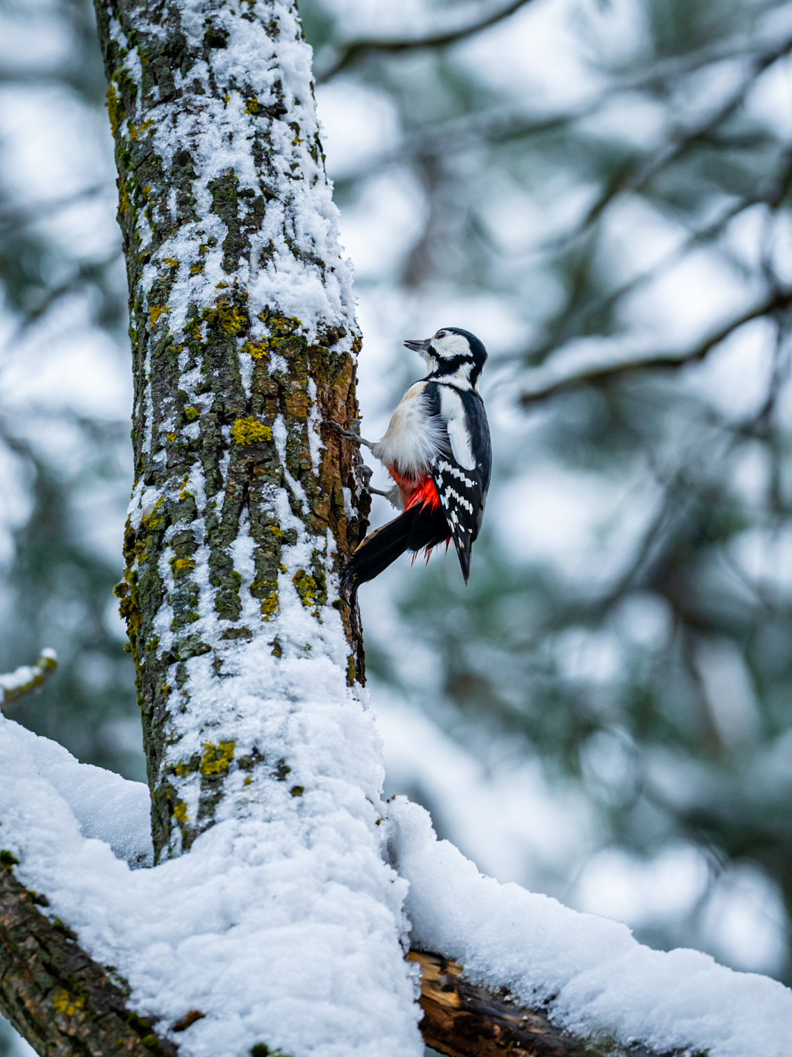 Зимний "перфоратор"