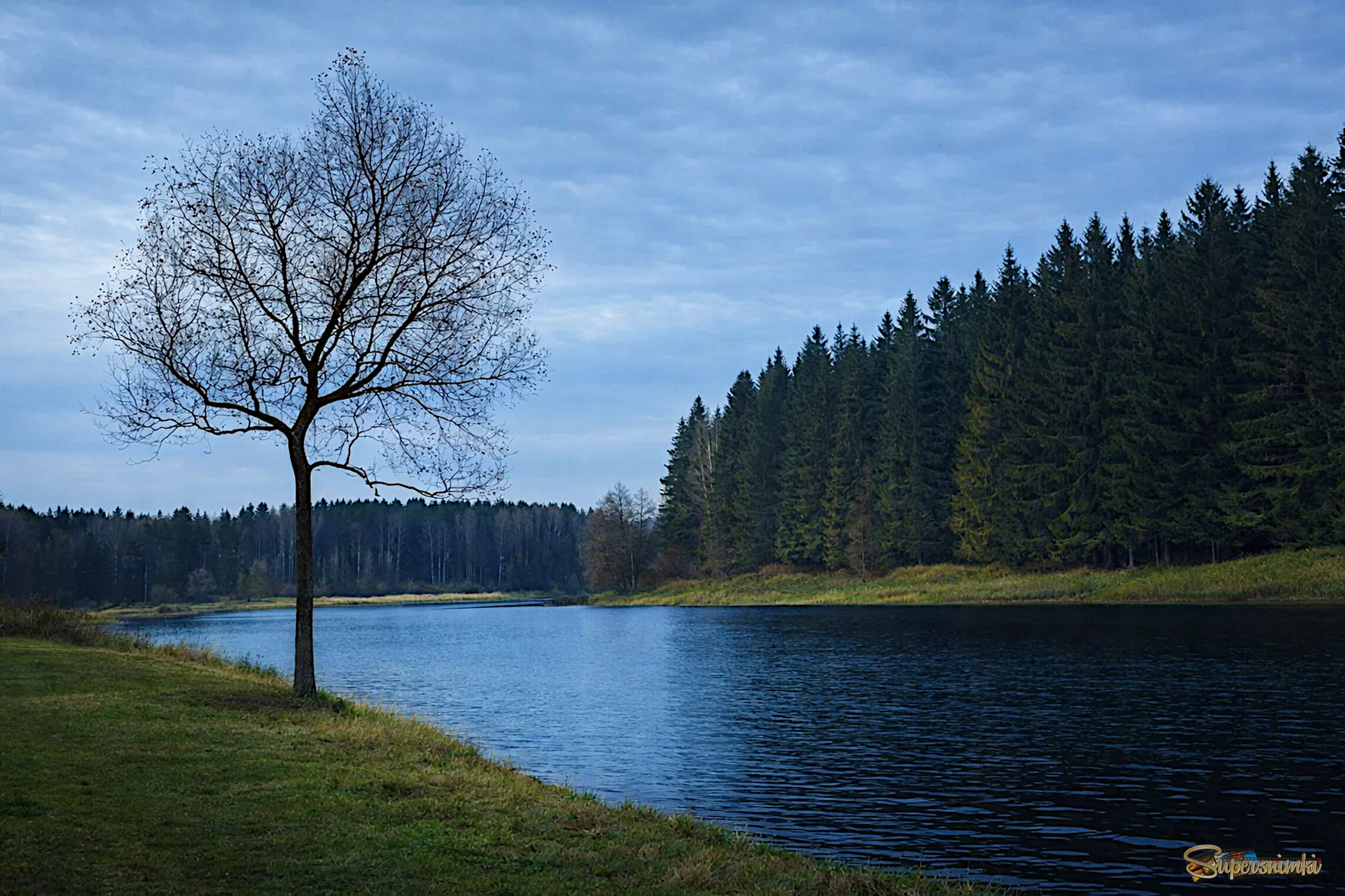 Неяркая осень