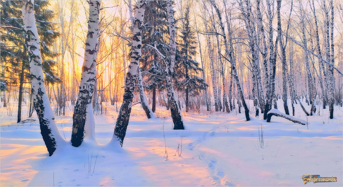 Зимы очарование