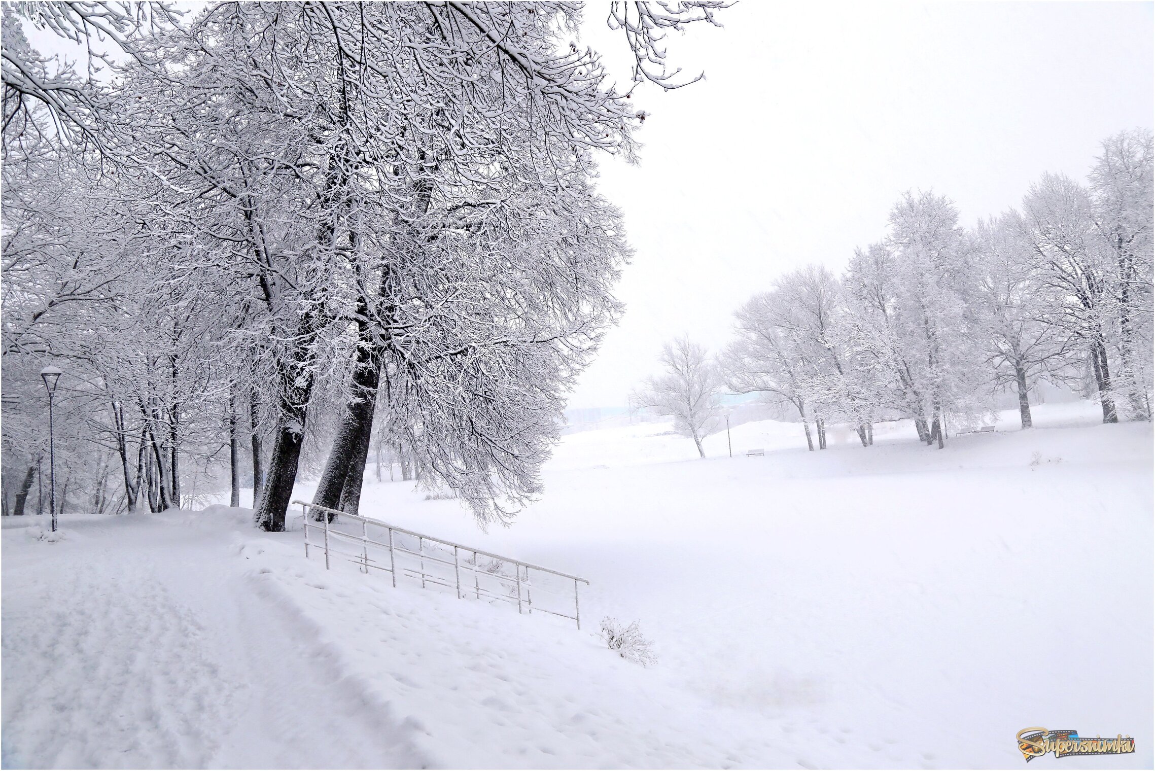 Снежная пороша