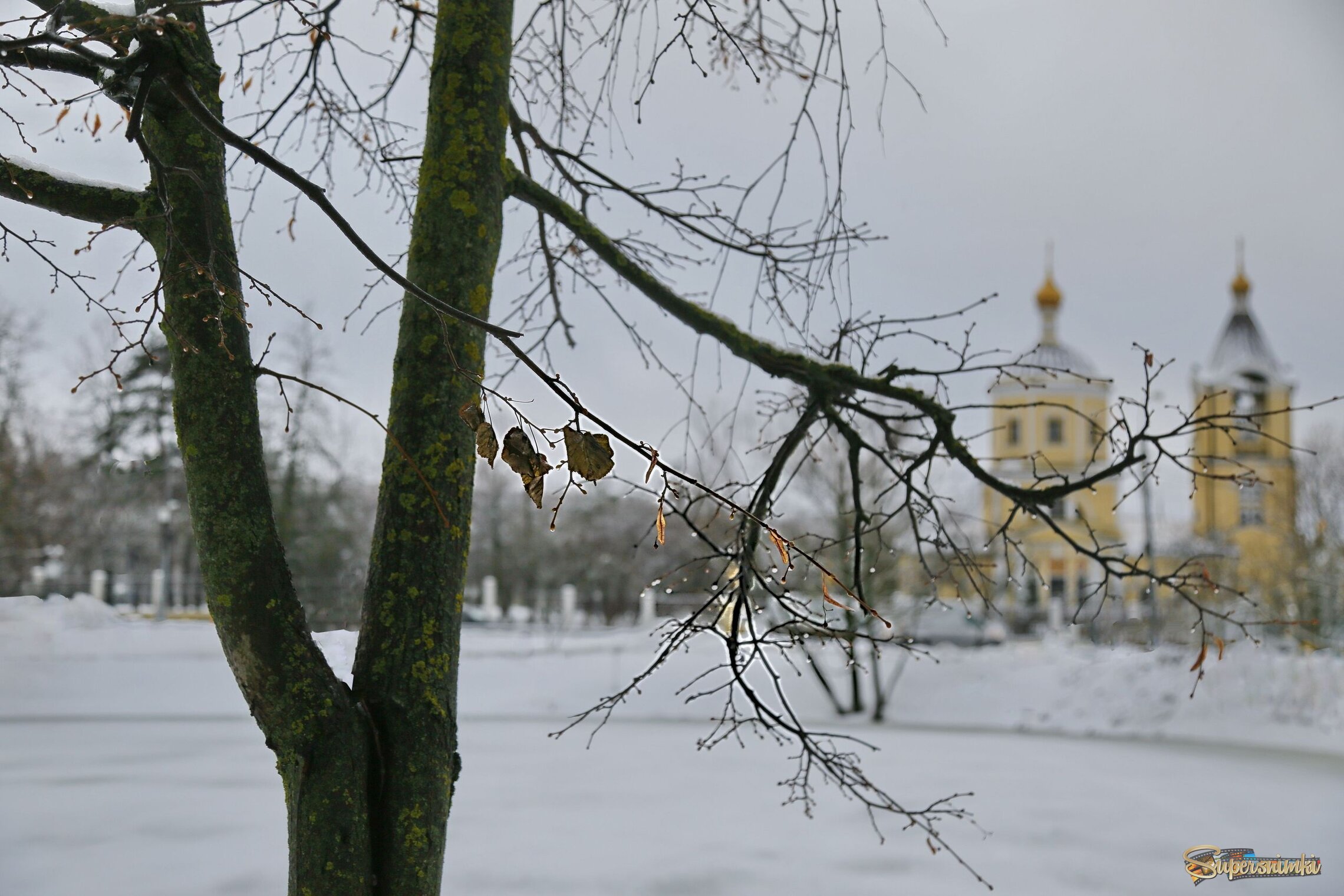 Осень, предзимье