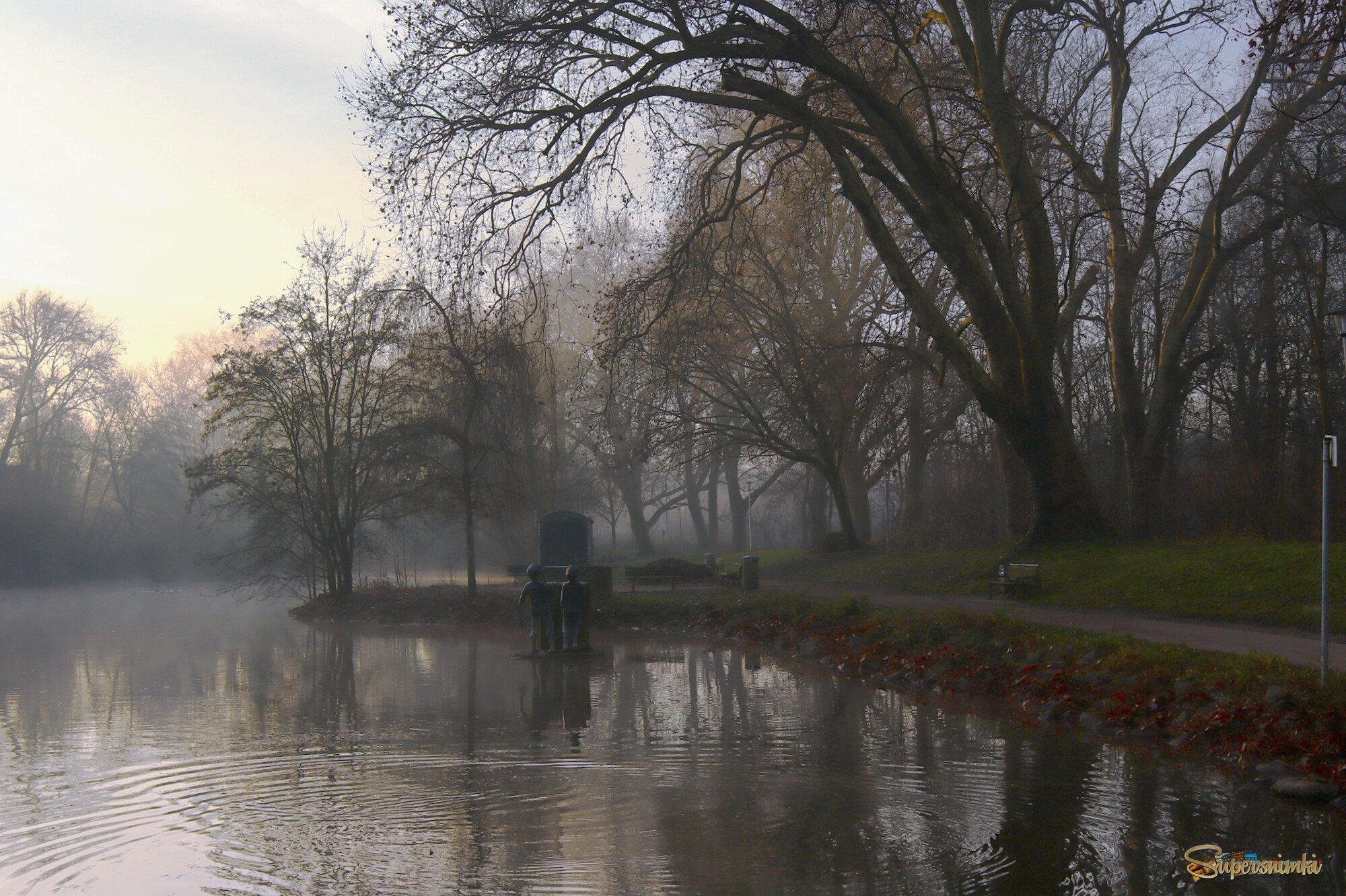 Декабрьское утро в парке