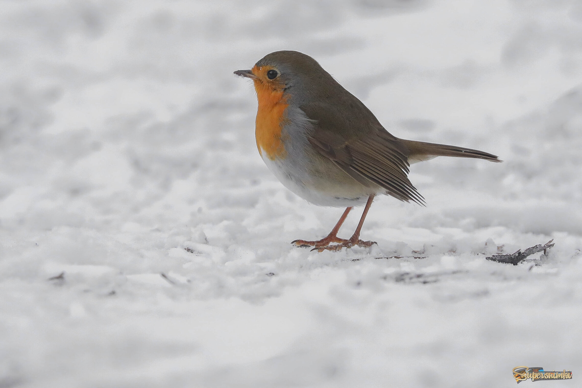 Холодно! -15С