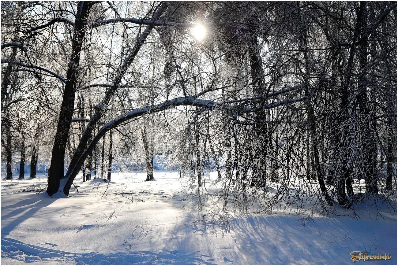 Волшебный мир