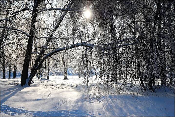 Волшебный мир