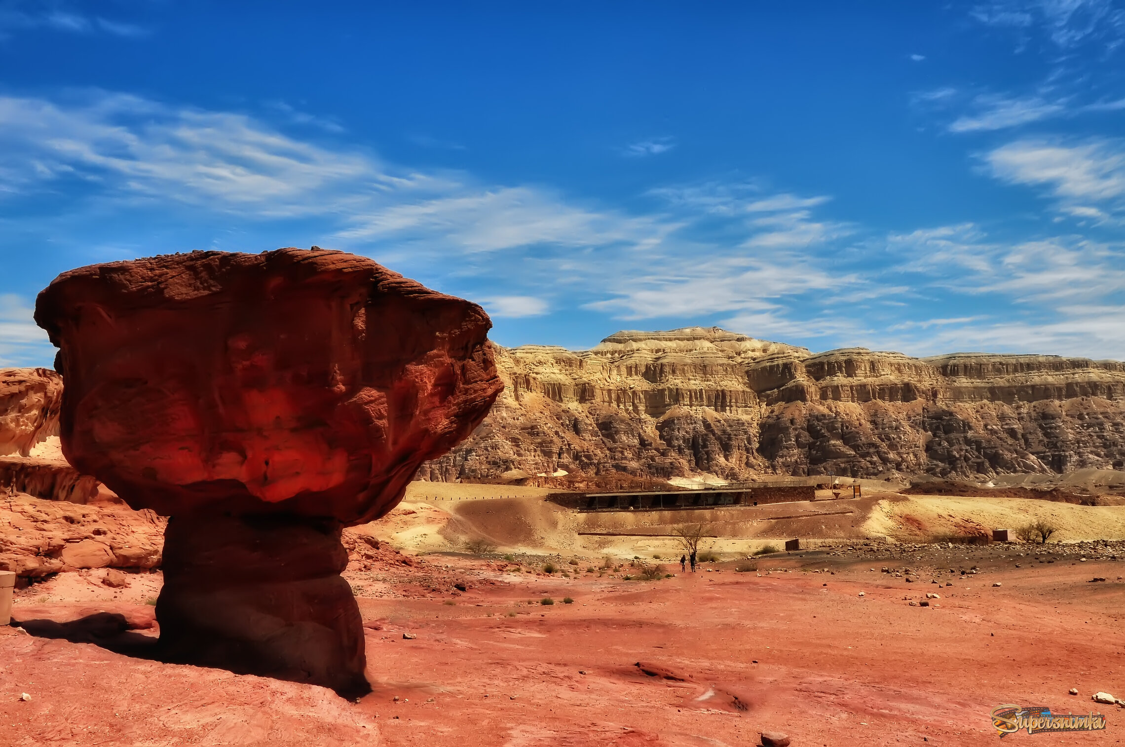 Пустынный гриб