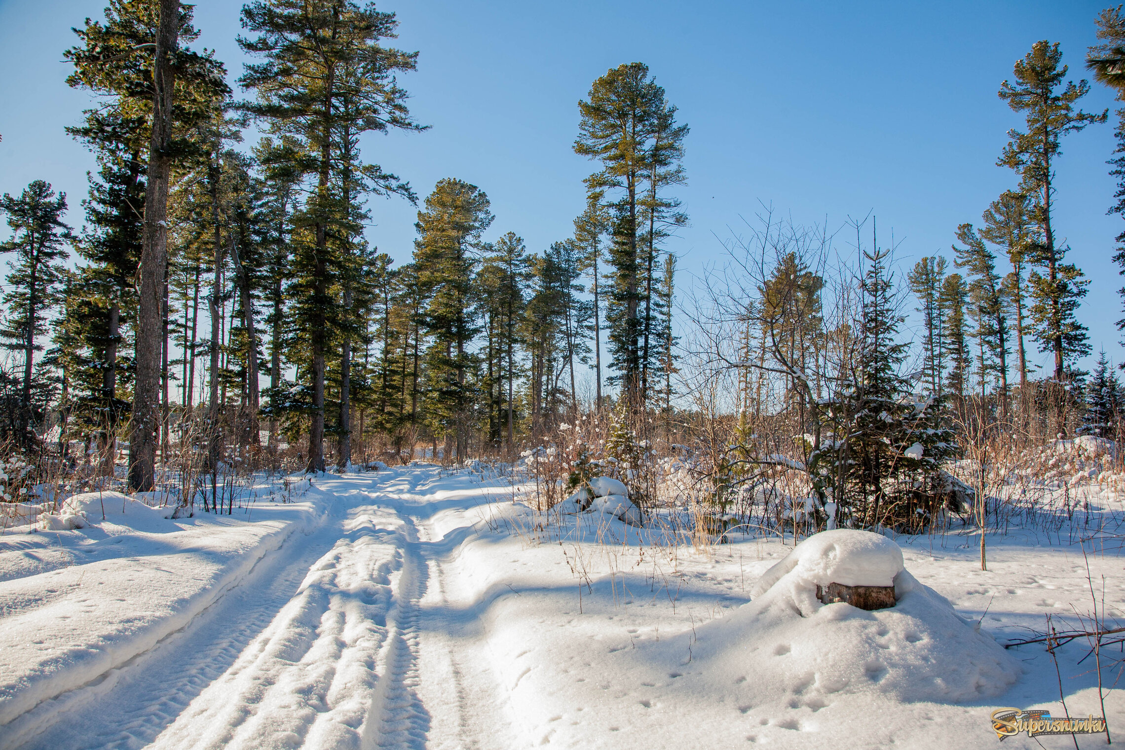 В объятьях тишины