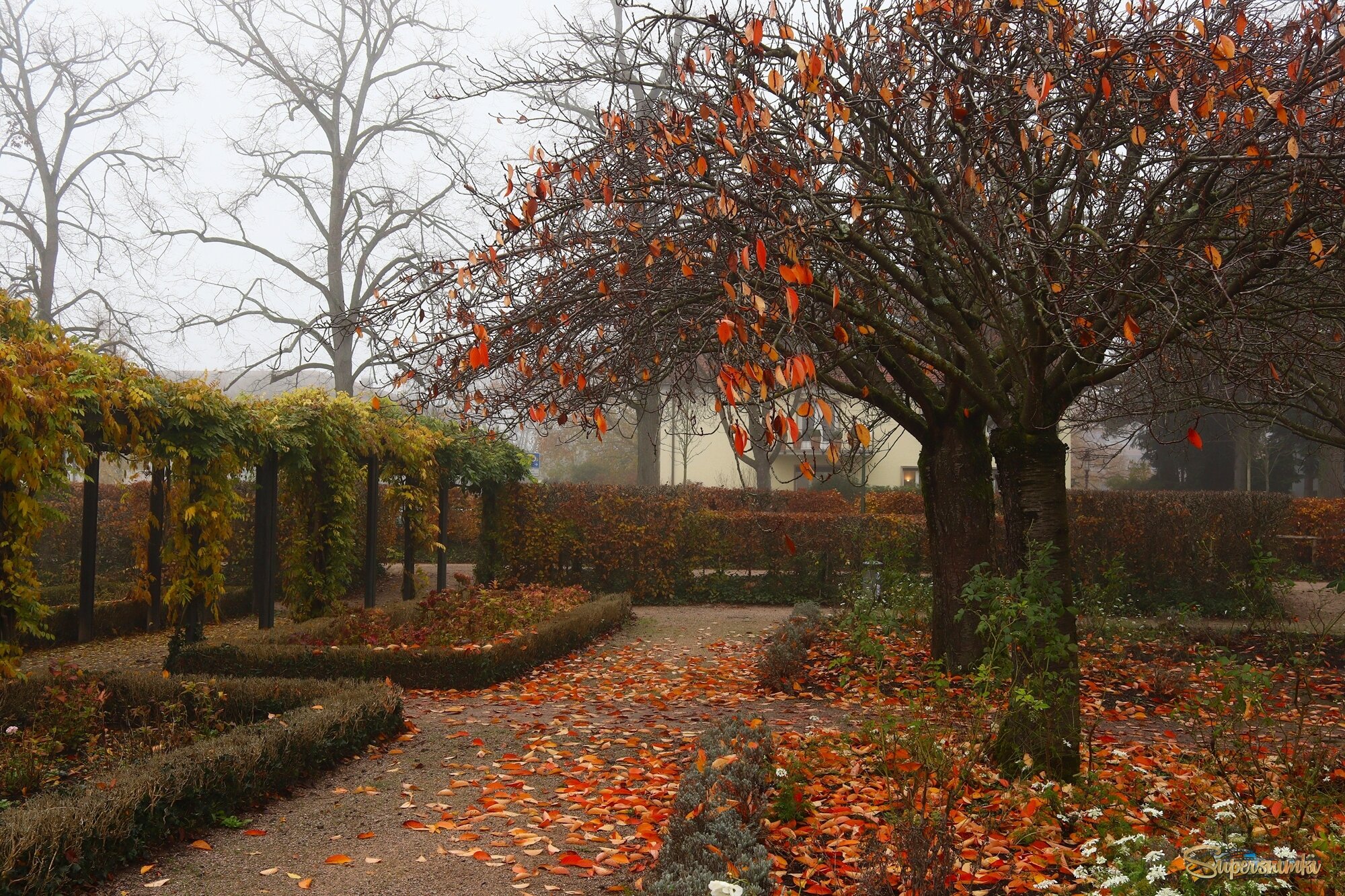 Осенний день