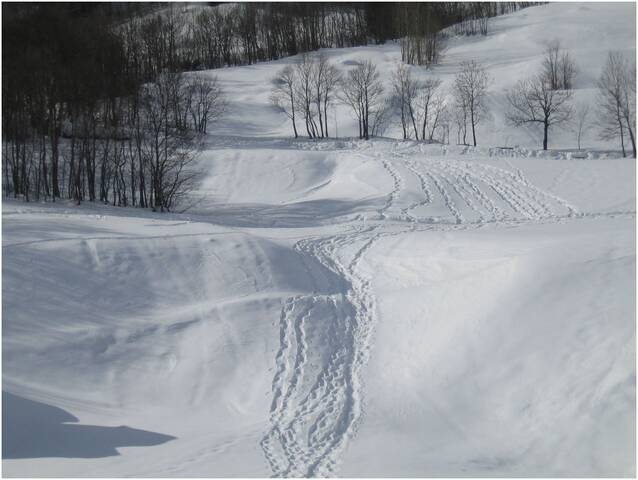 Лейкербад, Альпы