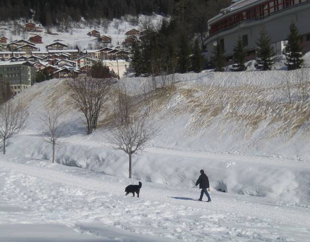Лейкербад, Альпы