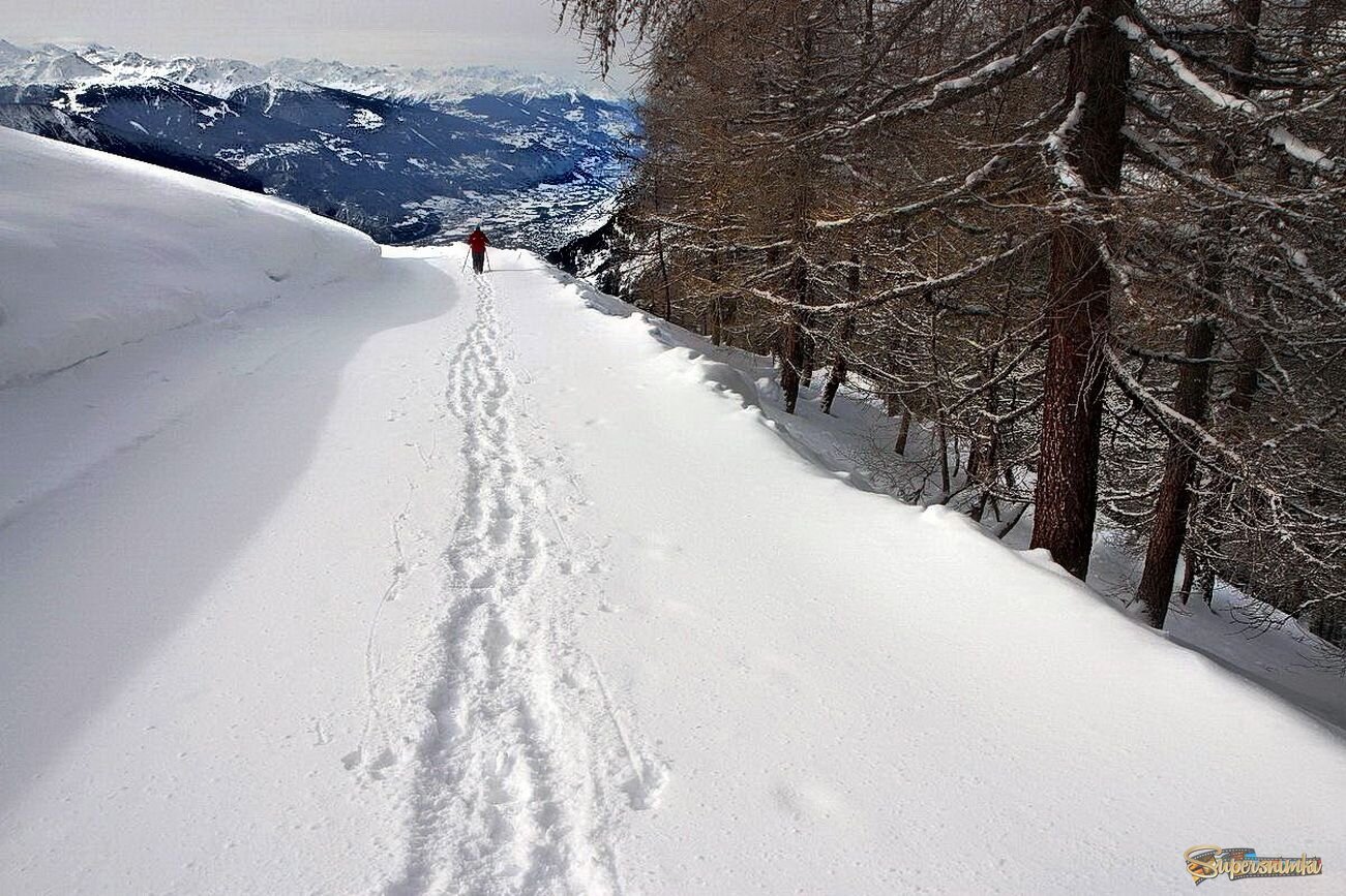 Альпы, Панорама Veg