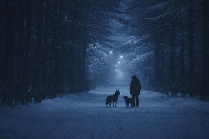 Зима. Ночь. Сокольники.