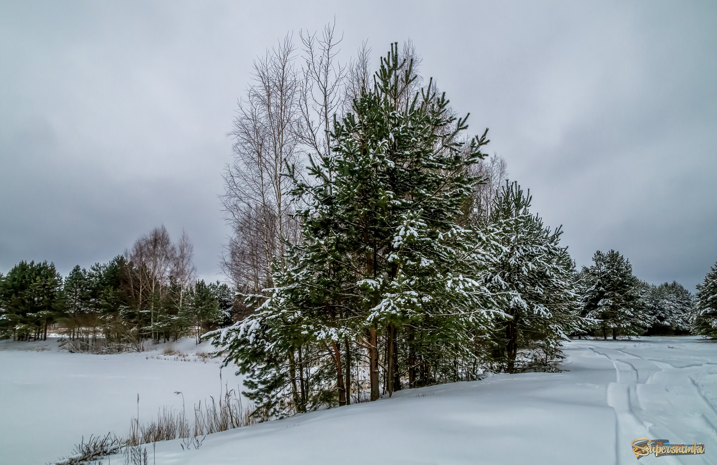 Зимние утро 4 