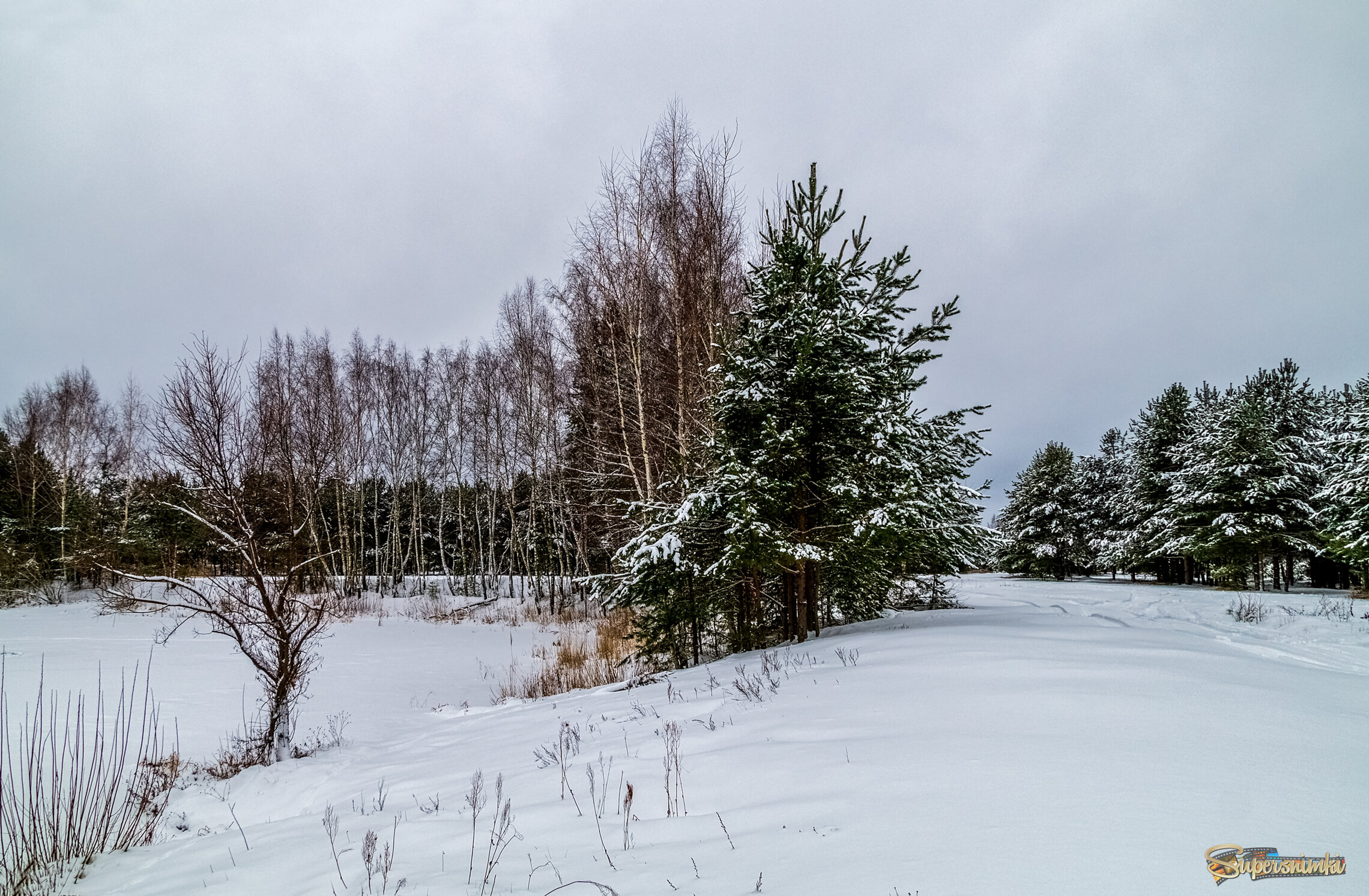 Зимние утро 3